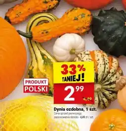 Twój Market Dynia ozdobna oferta