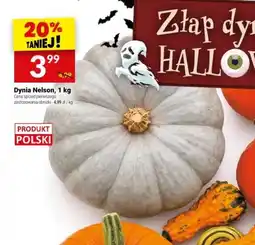 Twój Market Dynia Nelson oferta
