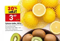 Twój Market Cytryna siatka oferta