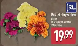 ALDI Bukiet chryzantem oferta