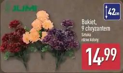 ALDI Bukiet, 9 chryzantem oferta