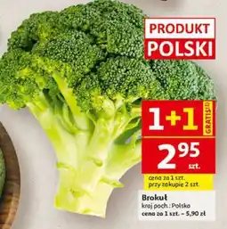 Auchan Brokuł oferta