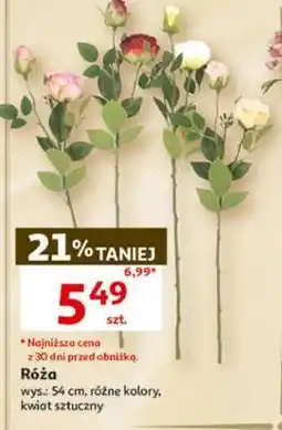 Auchan Róża oferta