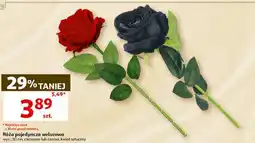Auchan Róża pojedyncza welurowa oferta