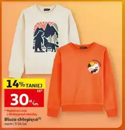 Auchan Bluza chłopięca oferta
