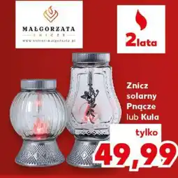 Kaufland Znicz solarny Pnącze lub Kula oferta