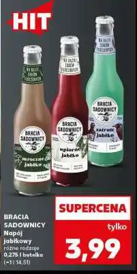 Kaufland BRACIA SADOWNICY oferta
