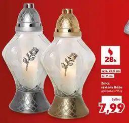 Kaufland Znicz szklany Róża oferta