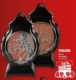 Kaufland Znicz Drzewko oferta
