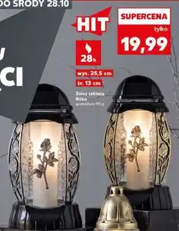 Kaufland Znicz szklany Róża oferta