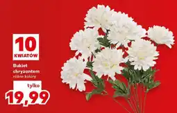 Kaufland Bukiet chryzantem oferta
