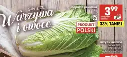 Delikatesy Centrum Kapusta pekińska oferta