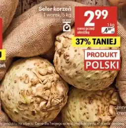 Delikatesy Centrum Seler korzeń oferta