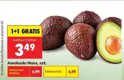Biedronka Awokado Hass szt oferta