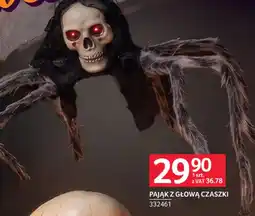 Selgros Pająk z głową czaszki oferta