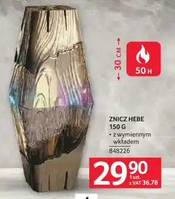Selgros Znicz Hebe 150 G oferta