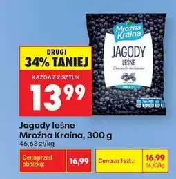 Biedronka Jagody leśne Mroźna Kraina 300 g oferta