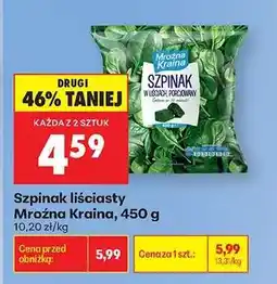 Biedronka Szpinak liściasty Mroźna Kraina, 450 g oferta
