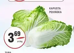 Sedal Kapusta pekińska oferta