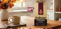 Stokrotka Kawa mielona Dallmayr Classic intense oferta