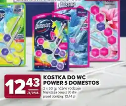 Stokrotka Kostka do wc Power 5 Domestos 2-pak oferta