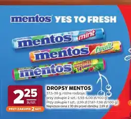 Stokrotka Dropsy Mentos oferta