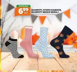Stokrotka Stopki damskie Moraj oferta