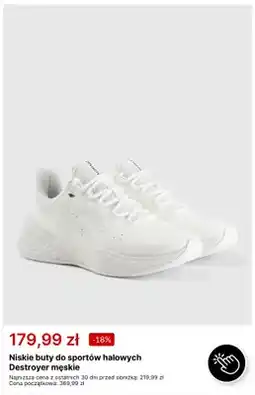 4F Niskie buty do sportów halowych Destroyer męskie 4F oferta