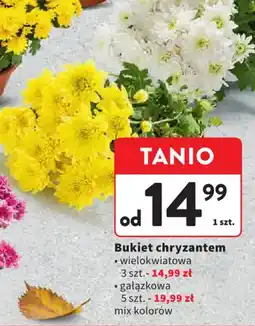 Intermarche Bukiet chryzantem oferta
