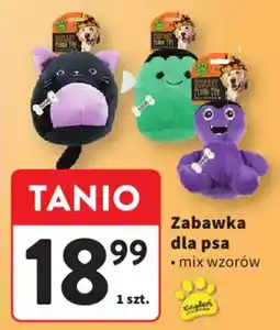 Intermarche Zabawka dla psa oferta