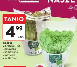 Intermarche Sałata Z Sadów i Pól oferta