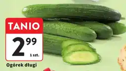 Intermarche Ogórek dług oferta