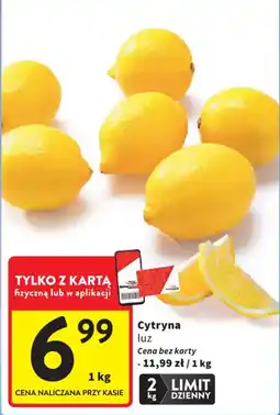 Intermarche Cytryna luz oferta