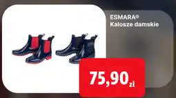 Lidl Esmara Kalosze damskie oferta