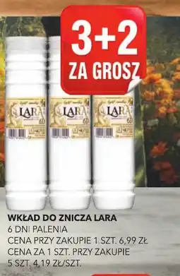 Top Market Wkład do znicza Lara oferta