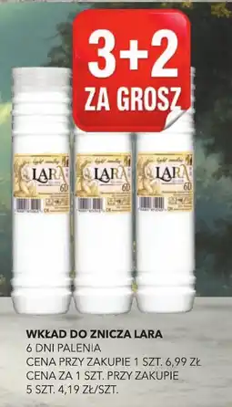 Top Market Wkład do znicza Lara oferta
