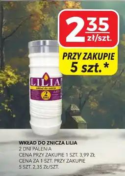 Top Market Wkład do znicza Lilia oferta