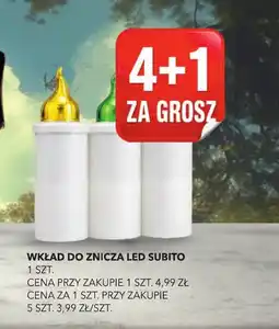 Top Market Wkład do znicza LED Subito oferta