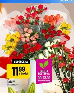 Polomarket Róże bukiet 9 szt oferta