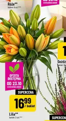 Polomarket Lilia bukiet 3 szt oferta