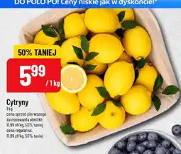 Polomarket Cytryny oferta