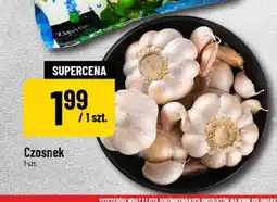 Polomarket Czosnek oferta