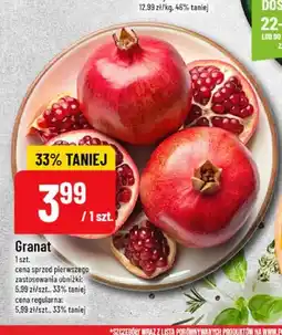Polomarket Granat oferta