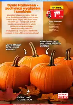 Polomarket Dynia Halloween oferta