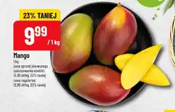 Polomarket Mango oferta