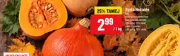 Polomarket Dynia Hokaido oferta