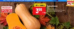 Polomarket Dynia piżmowa oferta