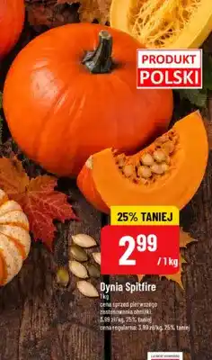 Polomarket Dynia Spitfire oferta