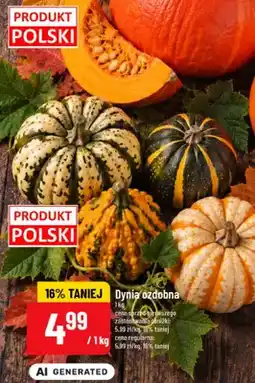 Polomarket Dynia ozdobna oferta