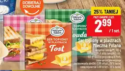 Polomarket Ser topiony w plastrach Tost Mleczna Polana oferta